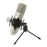 Микрофон конденсаторный Tascam TM-80