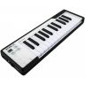 MIDI-клавиатура Arturia Microlab Black 25