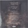 Пластинка виниловая PANTERA - 1990-2000: A DECADE OF DOMINATION (LIMITED, BLACK ICE VINYL, 2 LP)