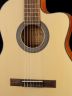 Электроакустическая гитара Parkwood PC110-WBAG-OP